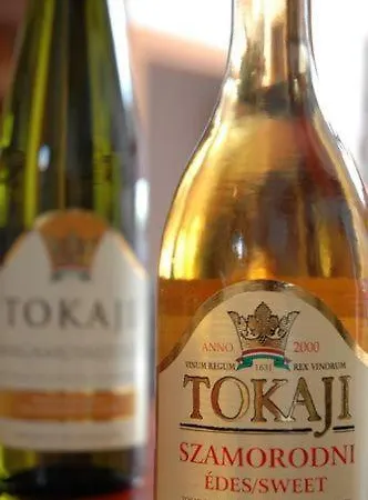 Hotel Fortuna Budapest