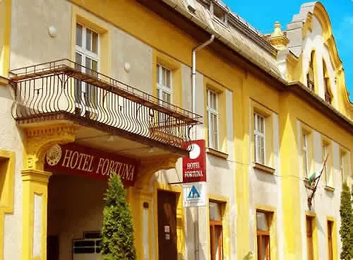 Fortuna Hotell